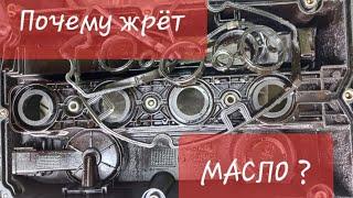 Дикий масложор из-за клапанной крышки. A16XER/F18D4.