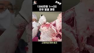 1300만원짜리 1++한우 ASMR 발골 영상