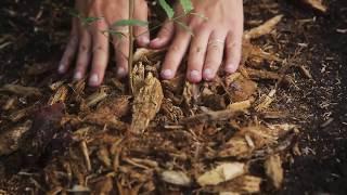 Inti Permaculture Courses