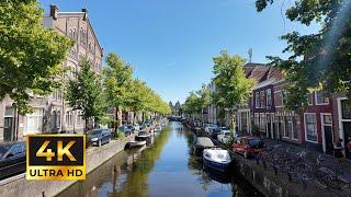 Haarlem centre walking tour on a summer day - Alternative to Amsterdam