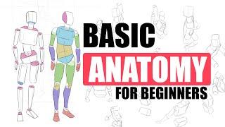The First, EASY Step To Draw Bodies (For Beginners)