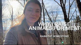 Why I raise Meat Rabbits and how I got started | Silver Fox Rabbits
