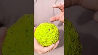 Osage Orange: Some of the Best Wood, But Worst Trees