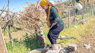 Village lifestyle | daily routine village life of Iran | Country life in North of Iran
