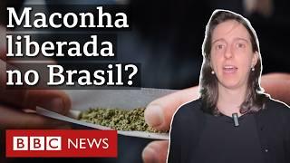 Maconha liberada? O que muda após STF descriminalizar porte