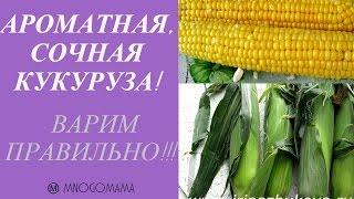 Как сварить кукурузу мягкой, сочной и ароматной за 30 минут! Irina Zhukova