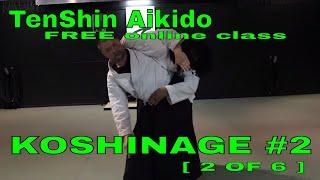 KOSHINAGE #2 - TenShin Aikido FREE online class [ 2 of 6 ]