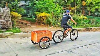 two motors electric trailer for bike