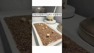 은은하게 적정 습도를 맞춰주는 숨쉬는 돌멩이 #shorts