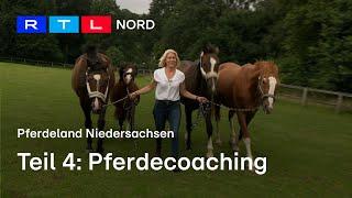 Pferdecoaching | Wie es bei Flugangst helfen kann