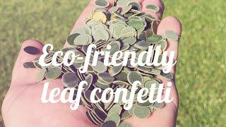 Eco-friendly leaf confetti DIY.