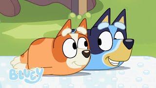 EN VIVO: Los momentos más bonitos de Bluey y Bingo  | Bluey