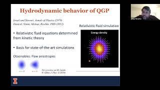 Jorge Noronha (UIUC)—Relativistic Fluid Dynamics: From Particle Colliders to Neutron Star Mergers