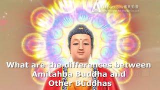 What Are the Differences Between Amitabha Buddha And Other Buddhas?