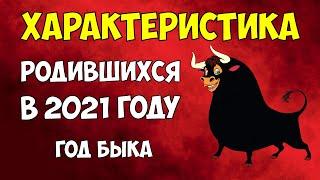 Характеристика родившихся в 2021 году (Год Быка). Плюсы и Минусы