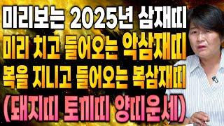 [미리보는 2025년 삼재띠 운세] 돼지띠,토끼띠,양띠 중 2025년에 복삼재로 들어오는 띠와 나이는?!