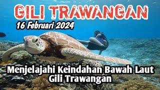 Gili Trawangan Terbaru | Menjelajahi Keindahan Bawah Laut Gili Trawangan #gilitrawangan #viral