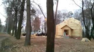 Патриарх Кирилл уничтожает парк усадьбы Троице-Лыково