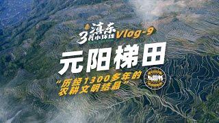 滇东环线vlog9-元阳梯田一日：千年农耕文明的震撼与质朴的乡村集市 The Awe of Millennia-Old Agricultural Civilization