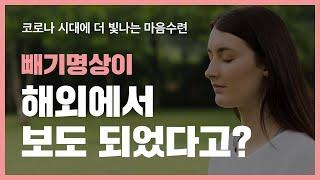 마음수련 명상과 함께 한 미국의 메모리얼데이