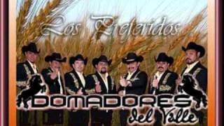 domadores del  valle - la peda