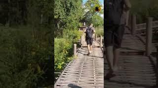 Bamboo Bridge Pai Thailand#microblog #thailandtravel #amazingthailand #paryatakparag #paithailand