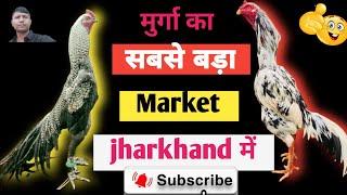 balrampur murga ka kimat aseel murga mandi jharkhand ka murga hat murga hat aseel murga price