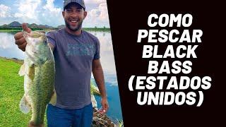 Como Pescar Black Bass (Estados Unidos)