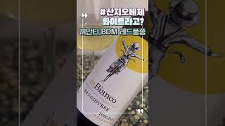 와인러버라면 이런걸 마셔봐야지~ #와인 #와인리뷰 #와인씨 #wine #shorts