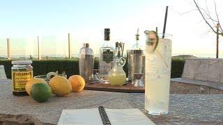 Tom Collins Cocktail - Home Bar Basics with Dave Stolte - Small Screen