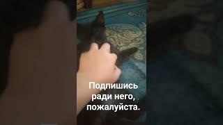 привет солнце