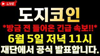 [도지코인 속보]  끝도 없는 조정에 제대로 뿔난 "공식 재단" 이제부터 직접 나섭니다.  " 6월5일 목요일 "  메모 필수!!  ️매매 시 절대 시청!!️