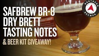 SafBrew™ BR-8 Dry Brett Tasting Notes