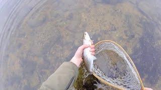 Early Season Sea Trout Spinning!