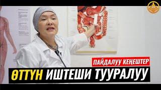 ӨТТҮН ИШТЕШИ ТУУРАЛУУ. ВРАЧ-ТЕРАПЕВТ ГҮЛСАНА БАПАЕВА