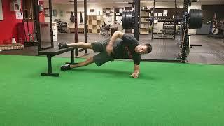 Copenhagen Plank Levels of Progressions