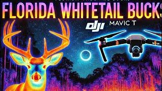 Florida Whitetail Bucks Spotted on DJI Mavic 3T Thermal Drone!