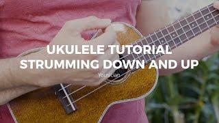 Ukulele Tutorial - Strumming Down And Up