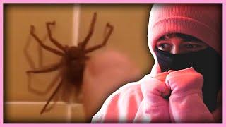 Guy With Extreme Arachnophobia Reacts To Arachnophobia #2 (Cries)