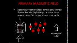 Introduction to MRI Physics