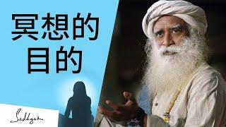 萨古鲁 Sadhguru | 为什么要打坐？为什么要冥想？ | 冥想的目的是什么？