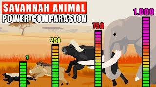 Savannah Animals Power Comparison | Animal Animation