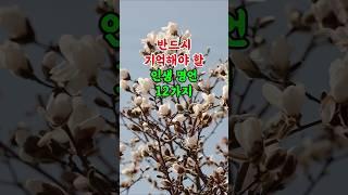 반드시 기억해야 할 인생 명언 12가지.