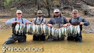 5 Limits Without Moving Our Feet | Wading For Mississippi Crappie