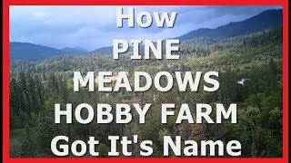 How PINE MEADOWS HOBBY FARM Got It's Name