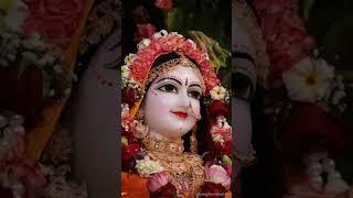 Radha Gori Gori #radhagorigori #newbhagtisong #viralsong #new #radhekrishna radhekrishna 