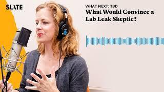 What Would Convince a Lab Leak Skeptic? | What Next: TBD | Tech, power, and the future Podcast