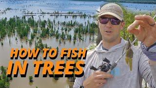 How to Fish a Jig in Trees and Flooded Timber with Patrick Walters