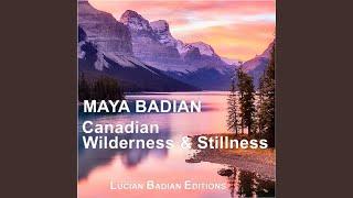 Canadian Wilderness & Stillness for Orchestra, Pt. 2, (Live)