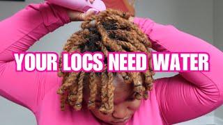 THE EASIEST WAY TO KEEP LOCS HYDRATED | Jasmine Slater #locjourney